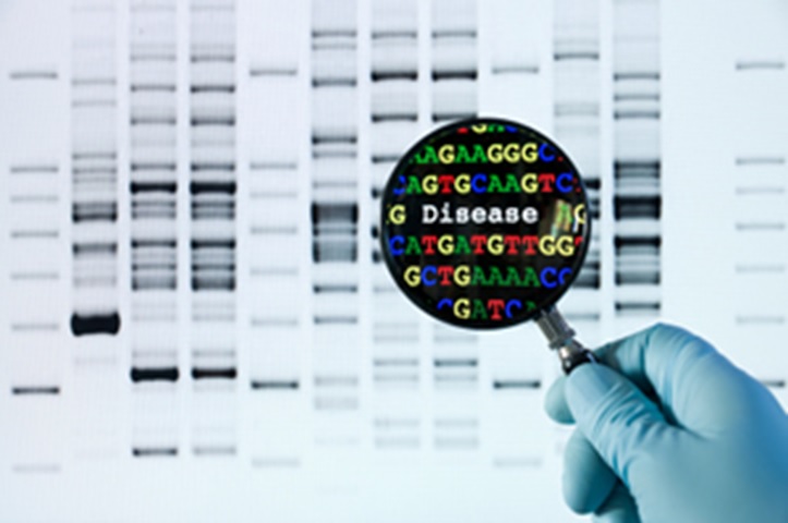 Healthand Wellbeing Test