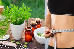 Weight Loss Program Weight Loss Program