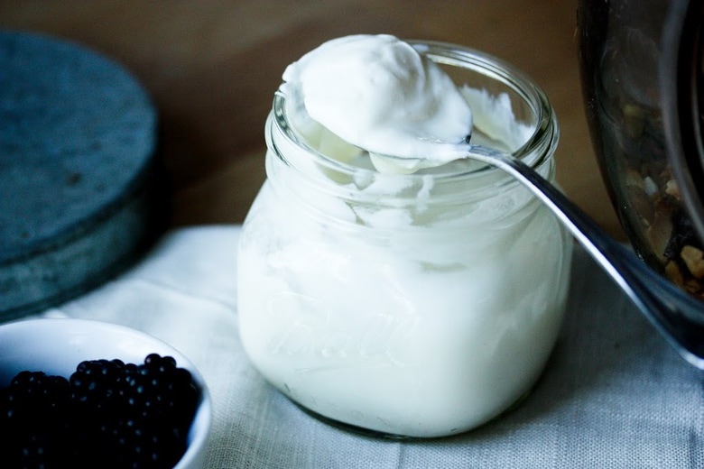Yogurt is Rich In Probiotic Yogurt is Rich In Probiotic