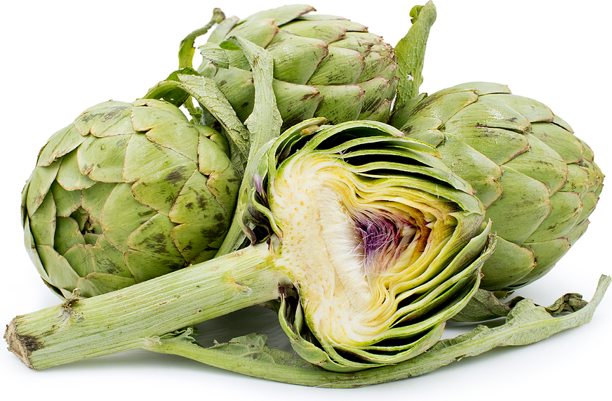Artichokes Promote A Better Overall Gut Health Artichokes Promote A Better Overall Gut Health