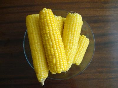 Sweet corn 2